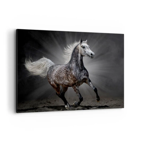 Obraz na plátně - Šedé je krásné - 100x70 cm