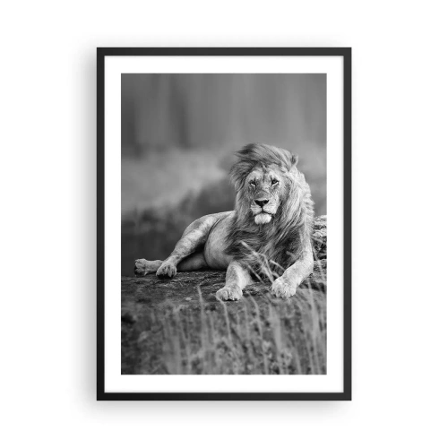 Plakát v černém rámu - Černobílý portrét majestátního lva na pozadí savany - 50x70cm - Královská siesta - Moderní nástěnná dekorace do obývacího pokoje a ložnice ARTTOR