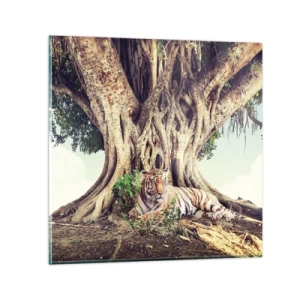 Obraz na skle - Pohled z knihy Mojžíšovy - 60x60 cm