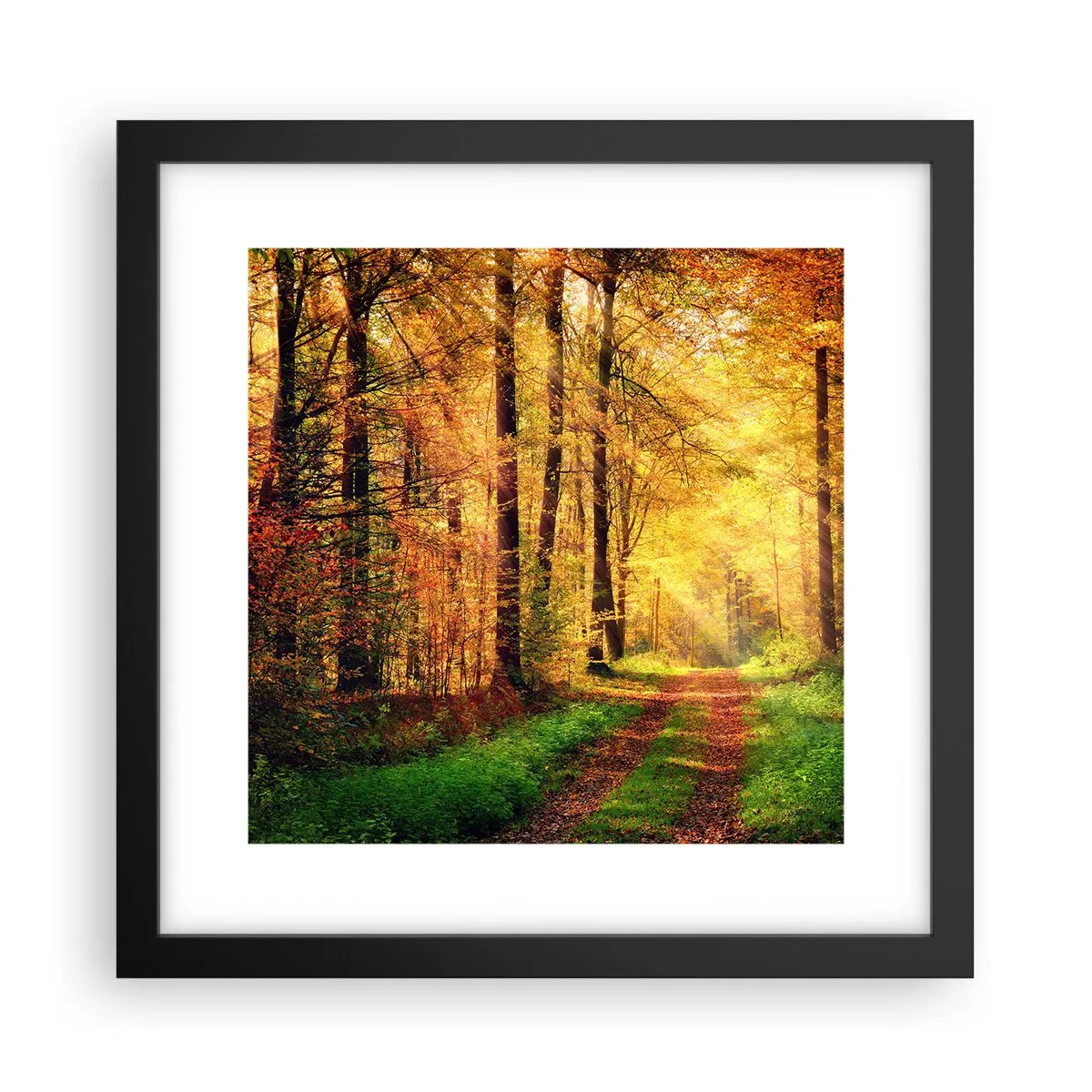 Plakát v černém rámu - Lesně-zlaté ticho - 30x30 cm