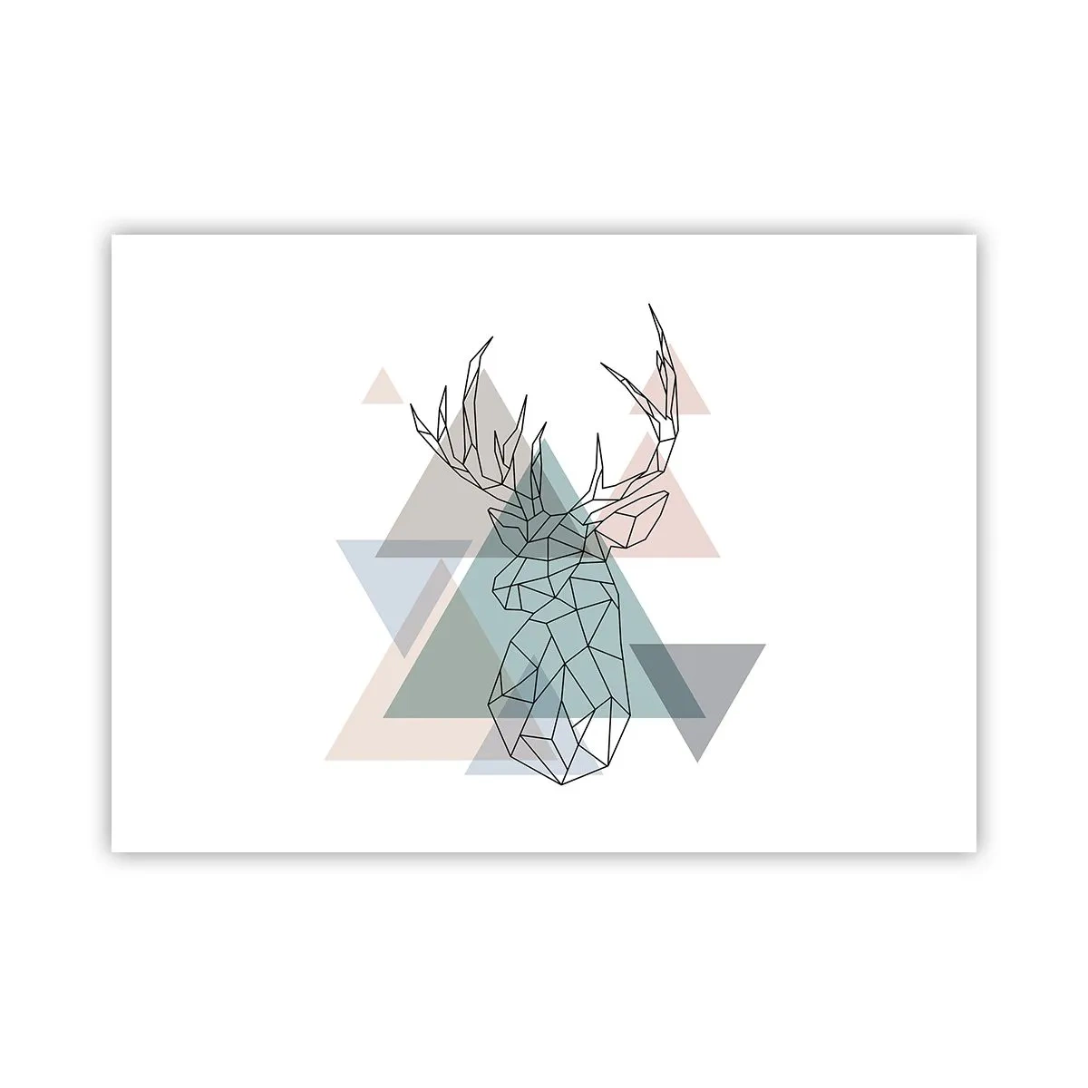 Plakát - V geometrickém lese - 70x50 cm