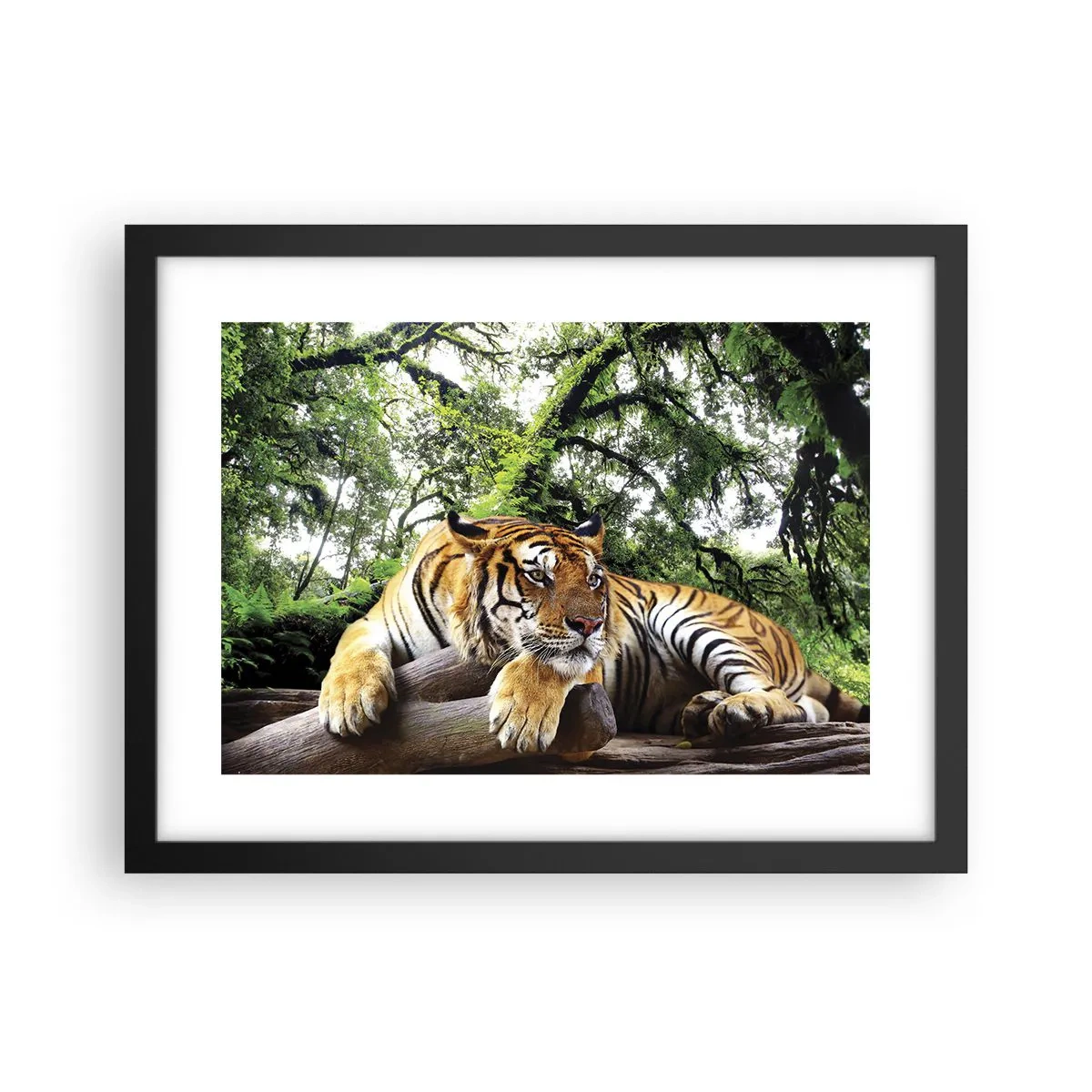 Plakát v černém rámu - S úctou - 40x30 cm