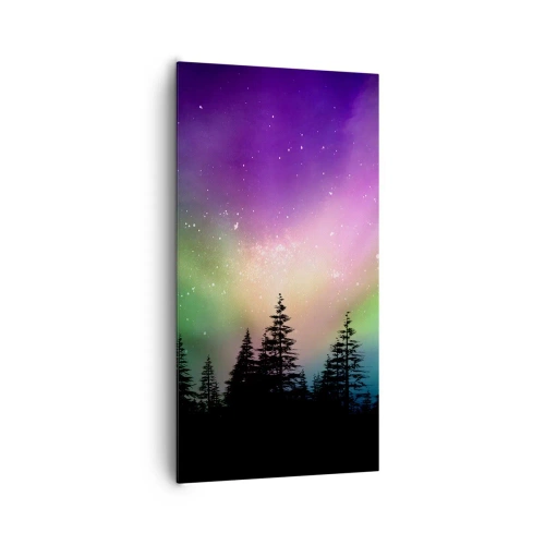 Obraz na plátně - Bílá magie - 65x120 cm