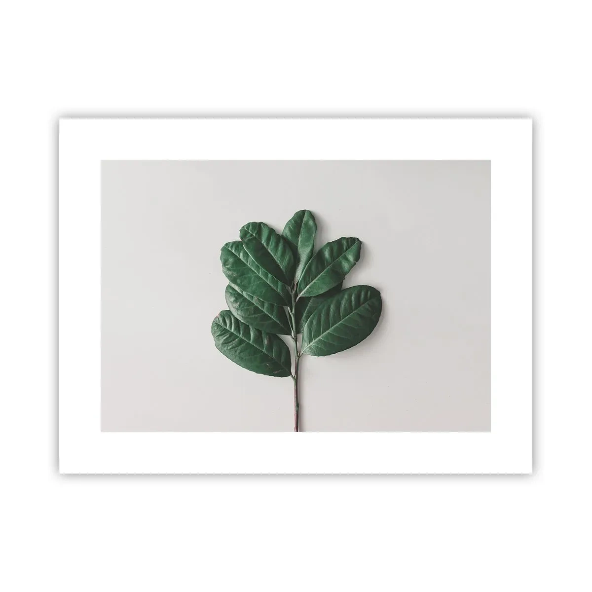 Plakát - Kresba samotné přírody - 40x30 cm