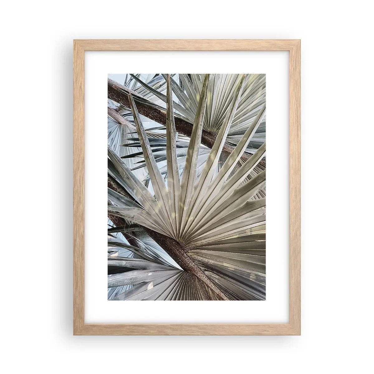 Plakát v rámu světlý dub - Vějíře v tropech - 30x40 cm
