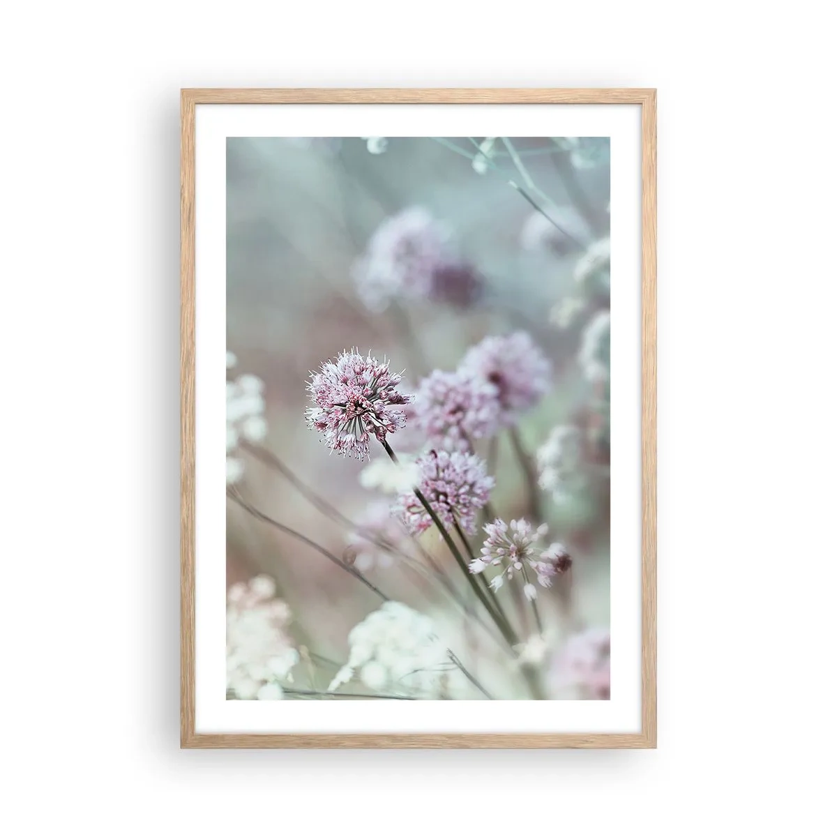 Plakát v rámu světlý dub - Sladké filigrány bylinek - 50x70 cm