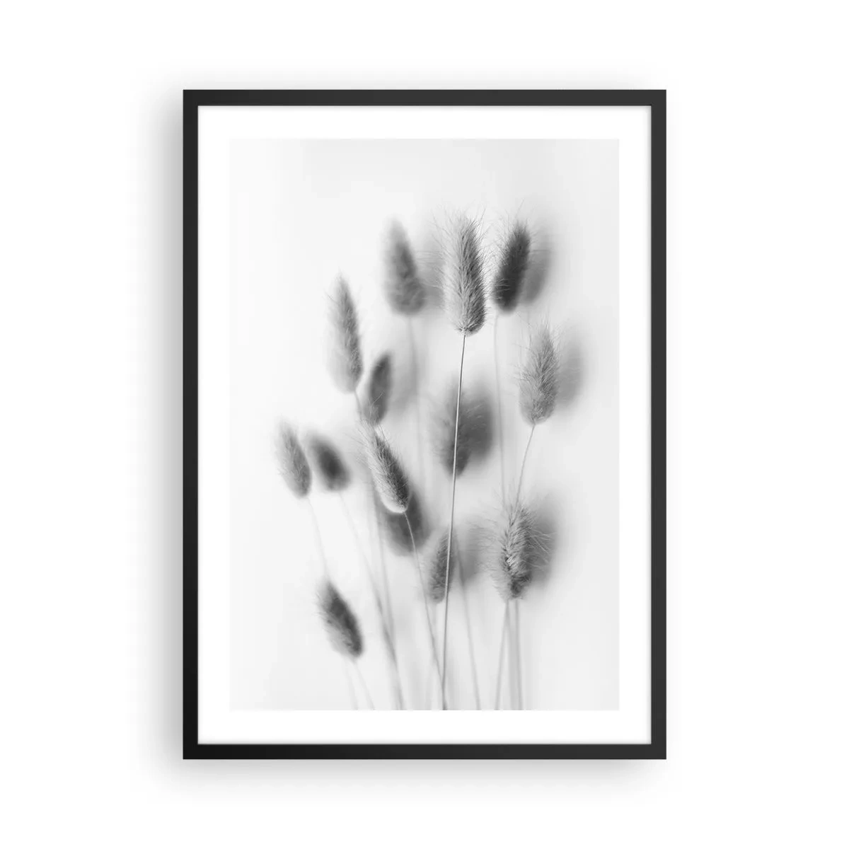 Plakát v černém rámu - Černé a bílé nadýchané klasy trávy - 50x70cm - Její načechranost tráva - Moderní nástěnná dekorace do obývacího pokoje a ložnice ARTTOR