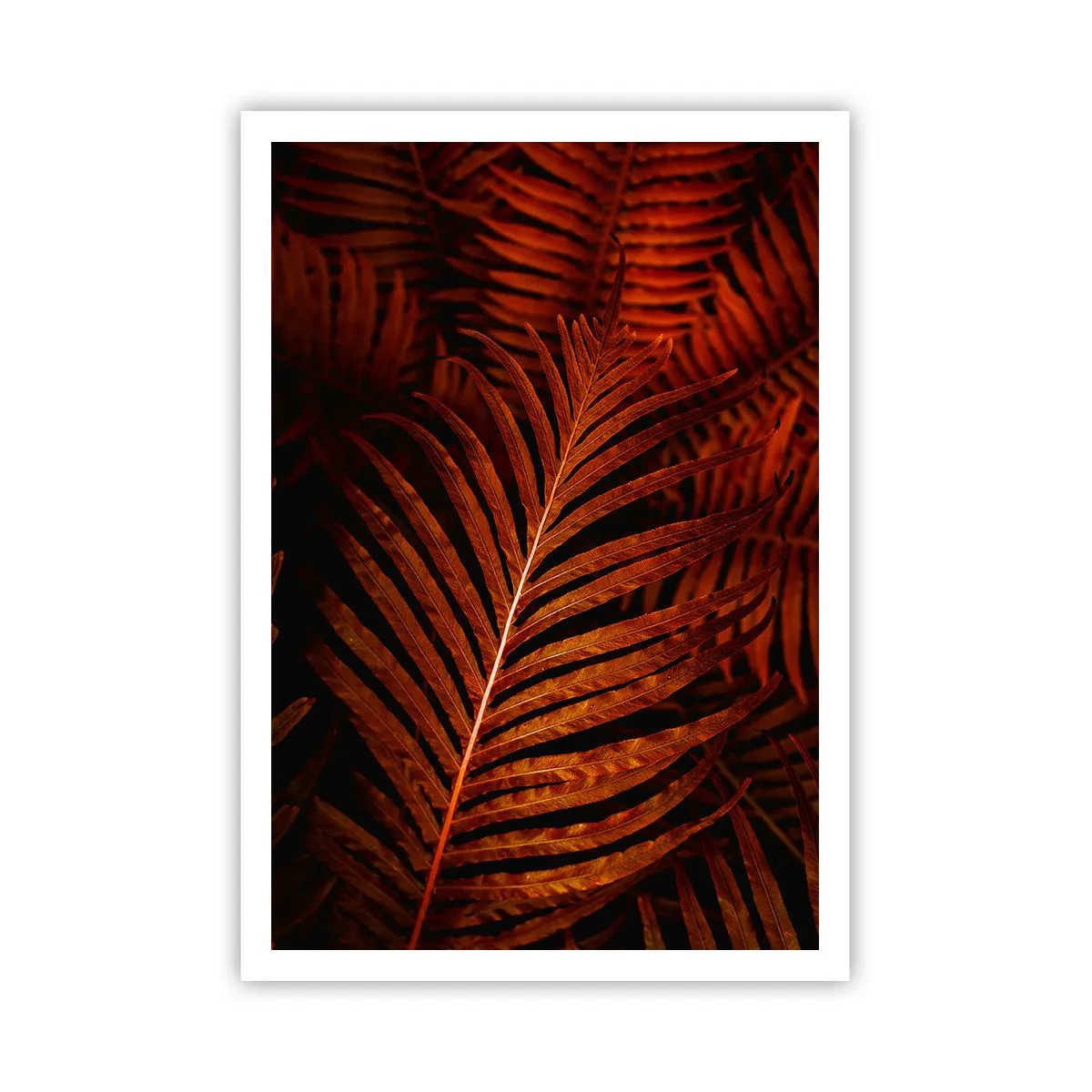 Plakát - Žár života - 70x100 cm