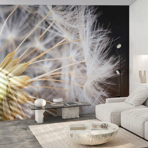 Fototapeta Premium Canvas - Těsně před odletem - Květ, Rostlina, Příroda - 250x175 cm