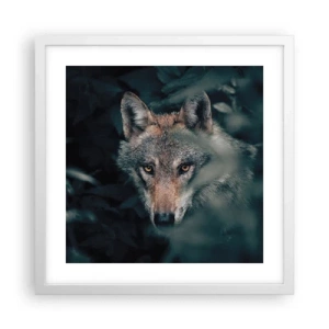 Plakát v bílém rámu - Predátor - 40x40 cm