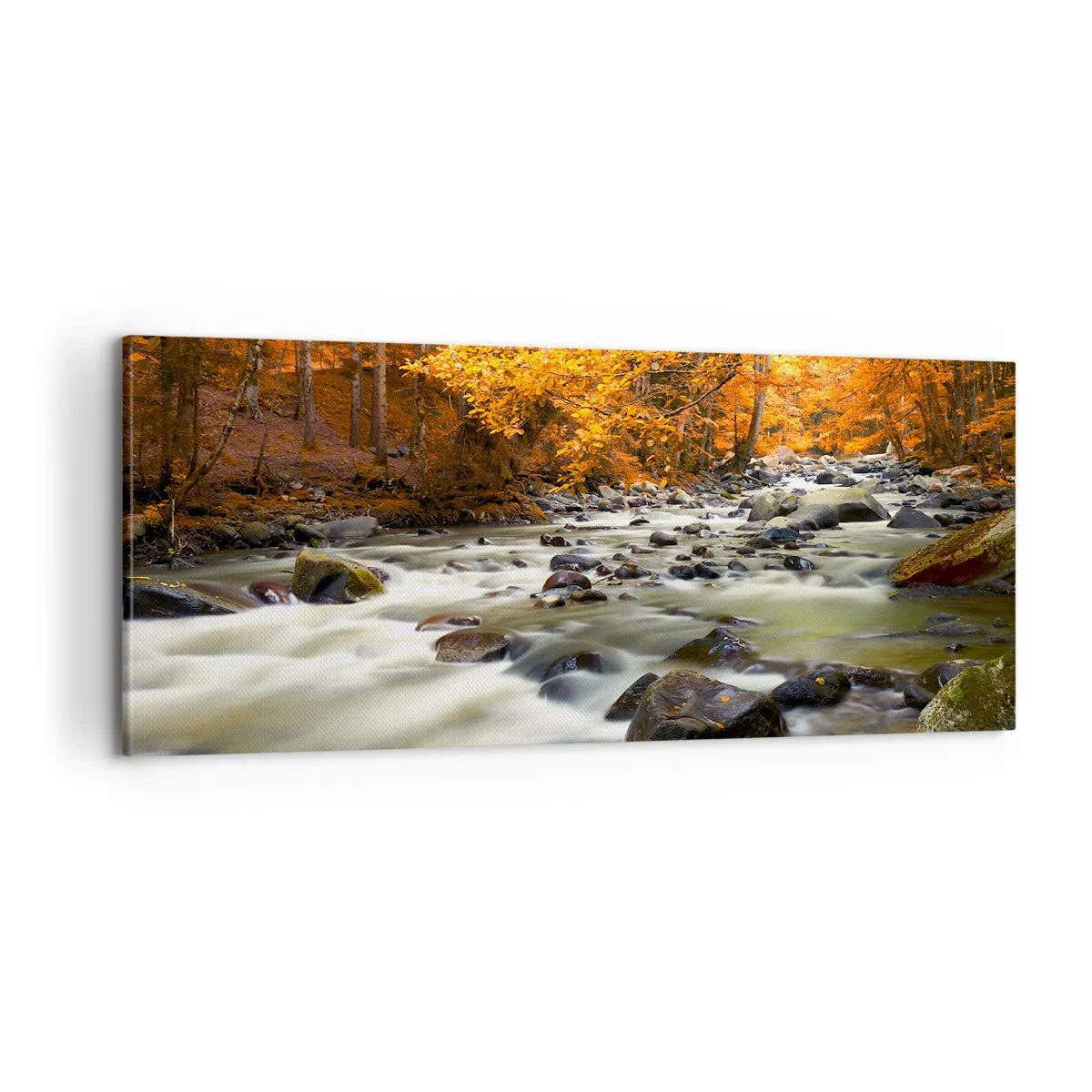 Obraz na plátně - Potok ve zlatém lese - 100x40 cm