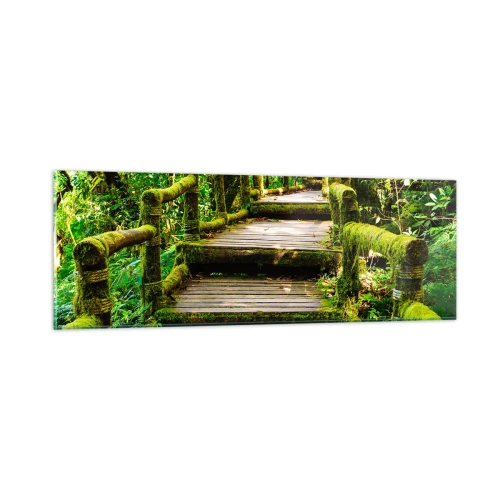 Obraz na skle - Chodbou zeleně - 90x30 cm