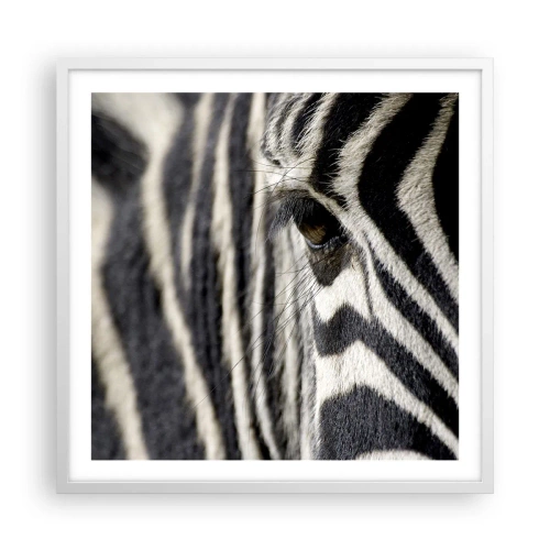 Plakát v bílém rámu - Portrét s pruhy - 60x60 cm