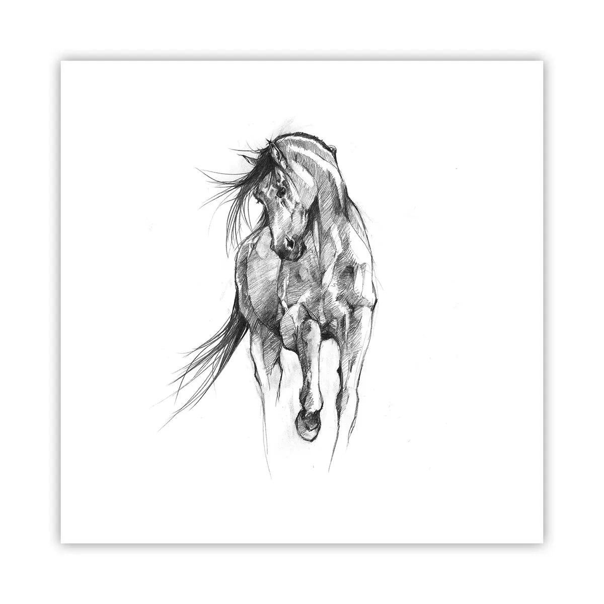 Plakát - V ladném klusu - 40x40 cm