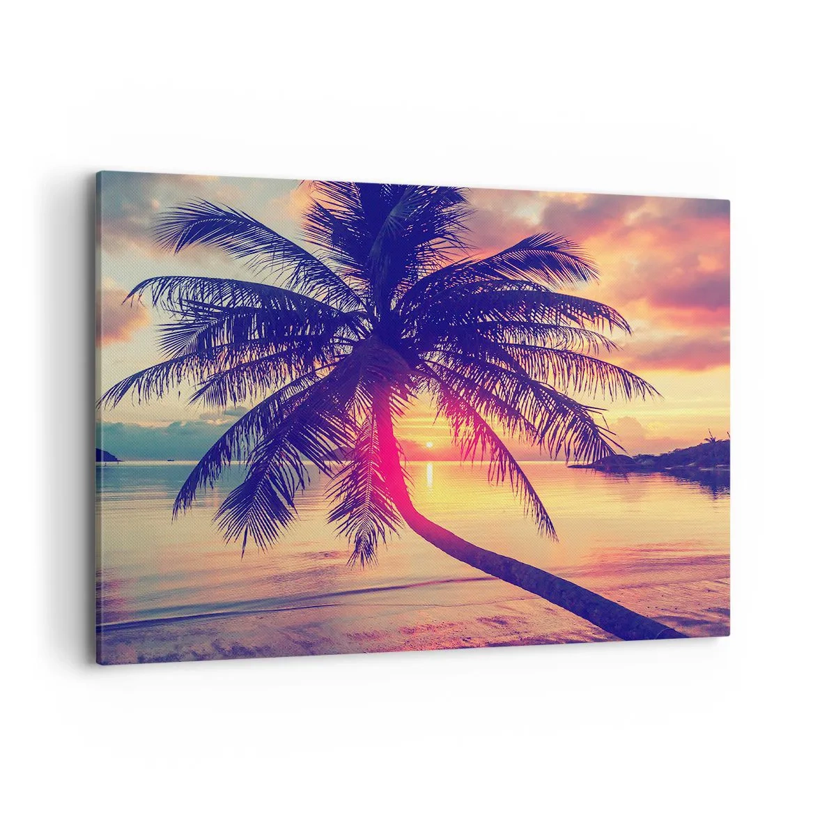 Obraz na plátně - Večer pod palmami - 100x70 cm