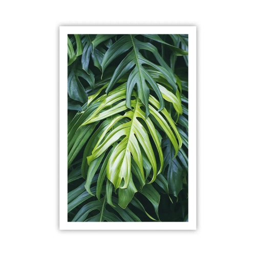 Plakát - Ponořit se do svěžesti - 61x91 cm