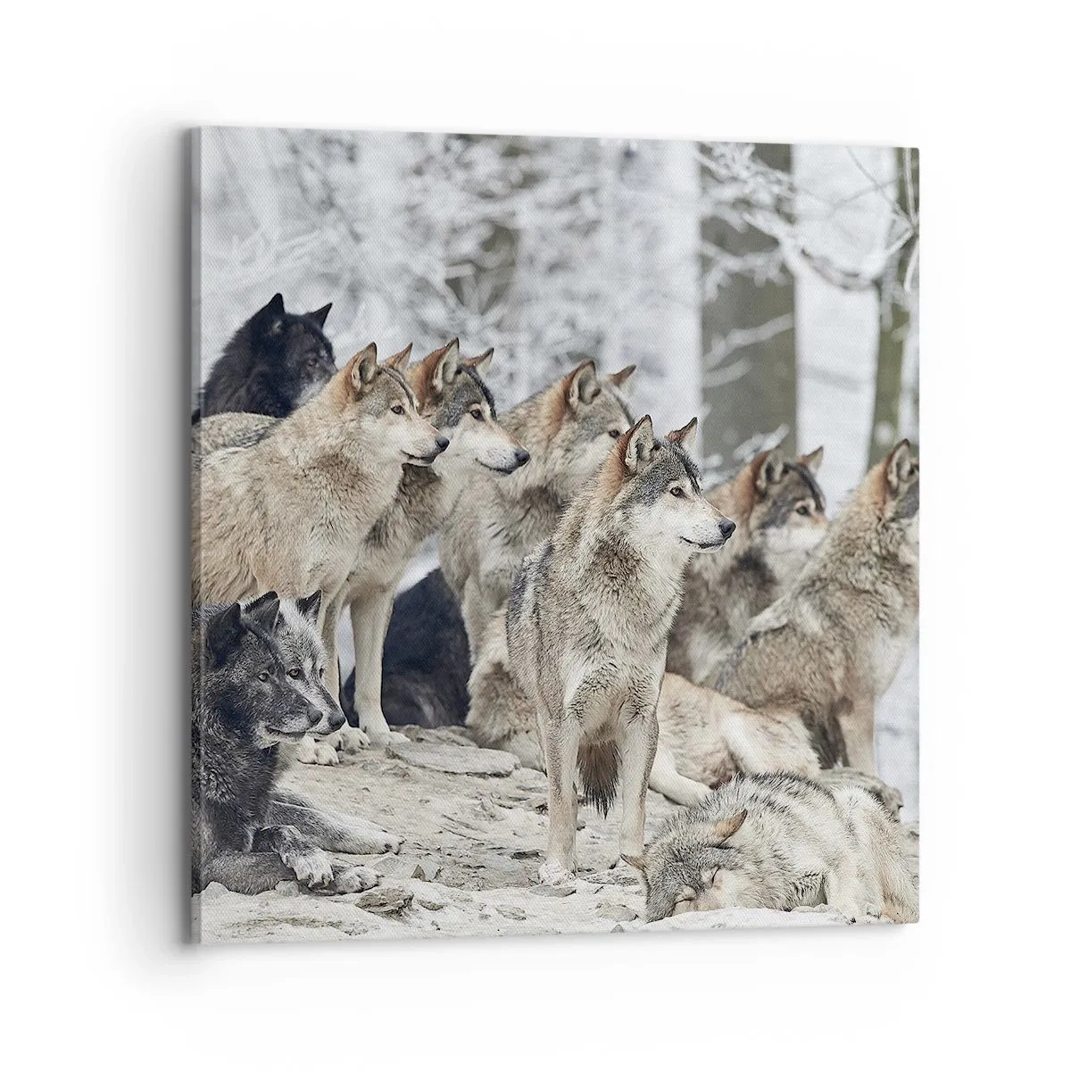 Obraz na plátně - Rodina a přátelé - 70x70 cm