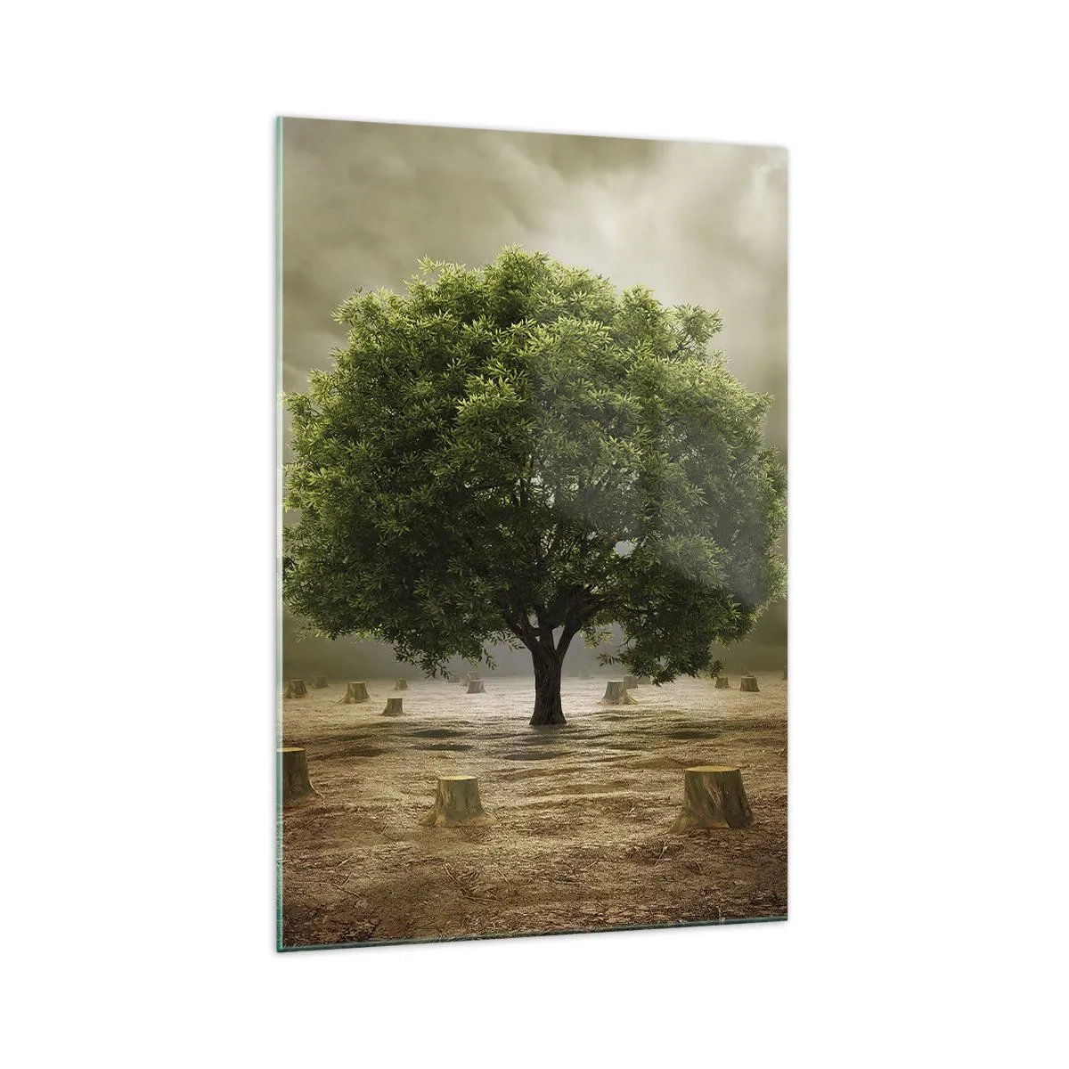 Obraz na skle - Celá naděje - 70x100 cm