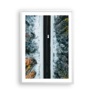 Plakát v bílém rámu - Přes zimní les - 50x70 cm
