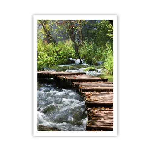 Plakát - U zpěněného vodopádu - 70x100 cm