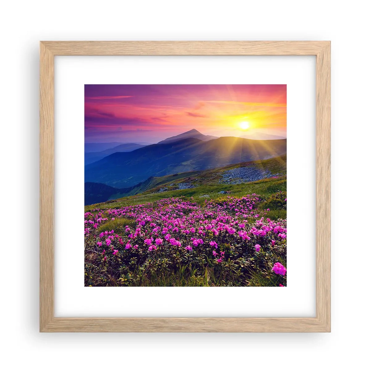 Plakát v rámu světlý dub - …A kolem voní kosodřevina a voní byliny - 30x30 cm