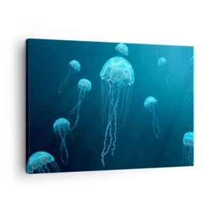 Obraz na plátně - Medúzy plovoucí v hlubinách oceánu v modrých tónech - 70x50cm - Oceánský tanec - Moderní nástěnná dekorace do obývacího pokoje a ložnice ARTTOR