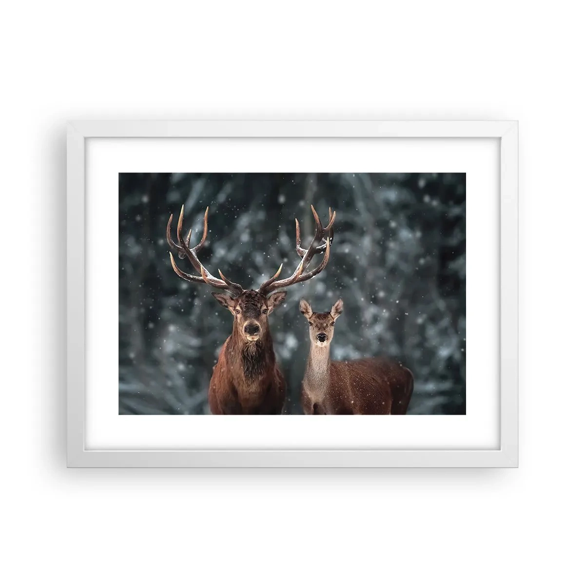 Plakát v bílém rámu - Pán lesa se svou ženou - 40x30 cm