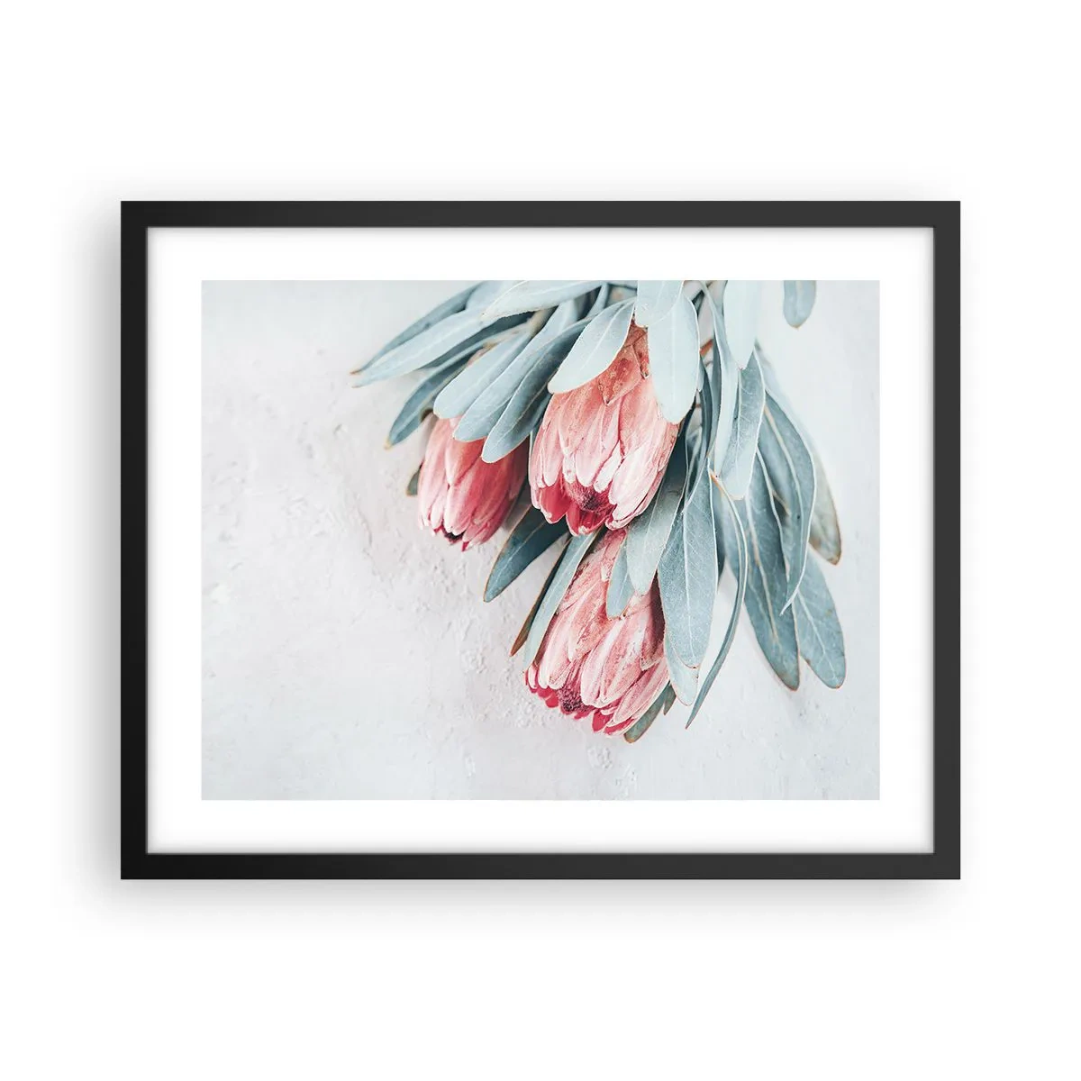 Plakát v černém rámu - Zahanbené svou vlastní krásou - 50x40 cm