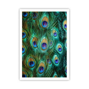 Plakát - Paví pohled - 70x100 cm