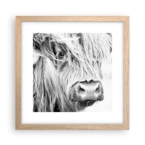 Plakát v rámu světlý dub - Skotská divokost - 30x30 cm