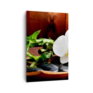 Obraz na plátně - Oddejte se doteku přírody - 80x120 cm