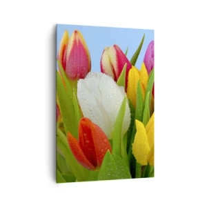 Obraz na plátně - Květinová duha v kapkách rosy - 70x100 cm