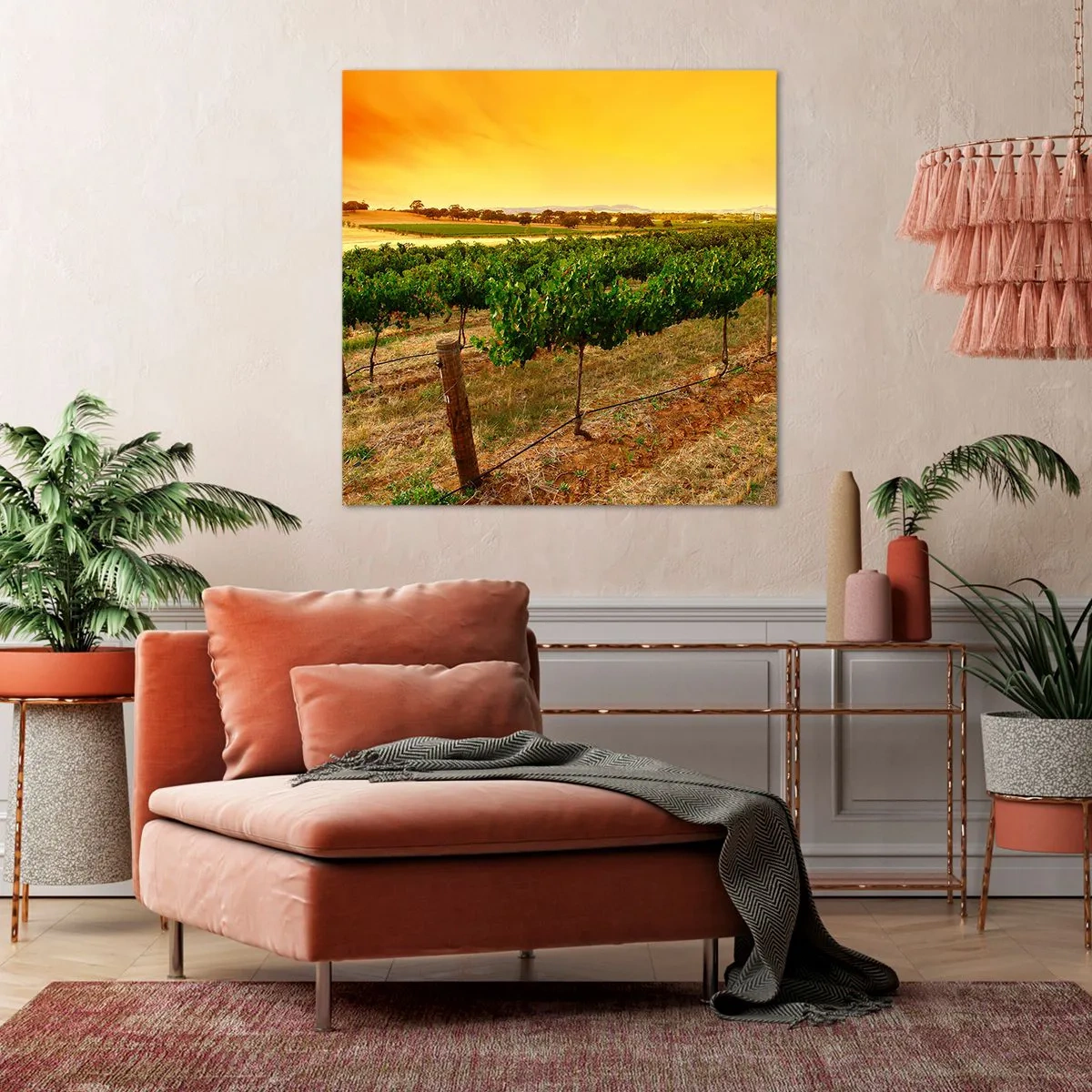 Obraz na plátně - Napít se slunce - 70x70 cm