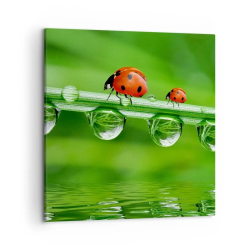 Obraz na plátně - Na cestách celé léto - 50x50 cm