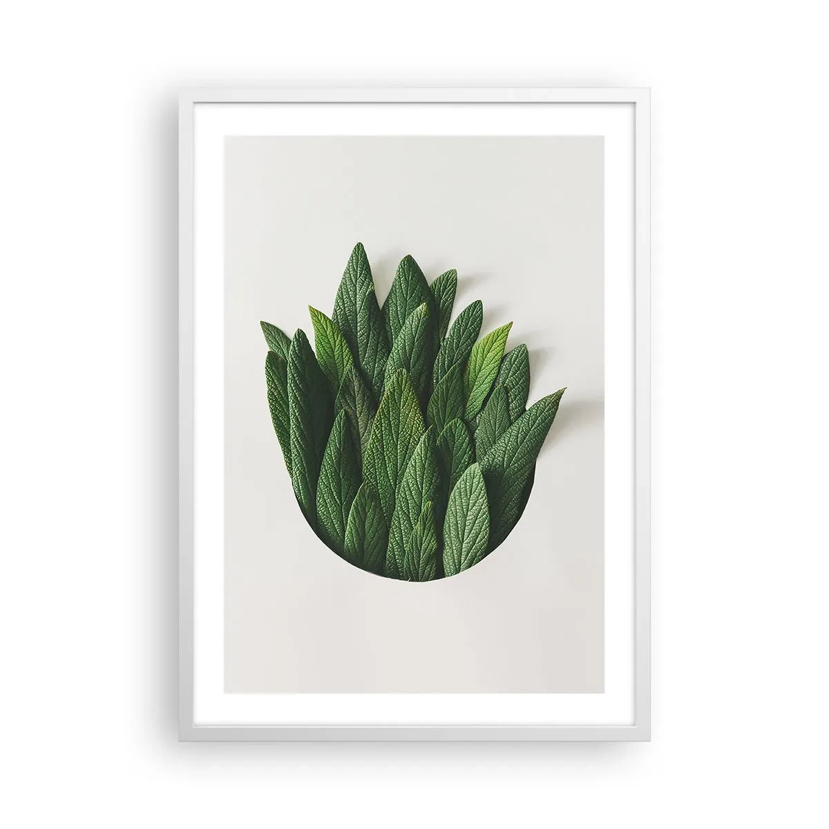 Plakát v bílém rámu - Neukojitelná zvědavost - 50x70 cm