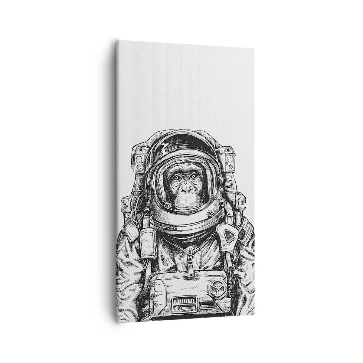 Obraz na plátně - Alternativní vývoj - 55x100 cm