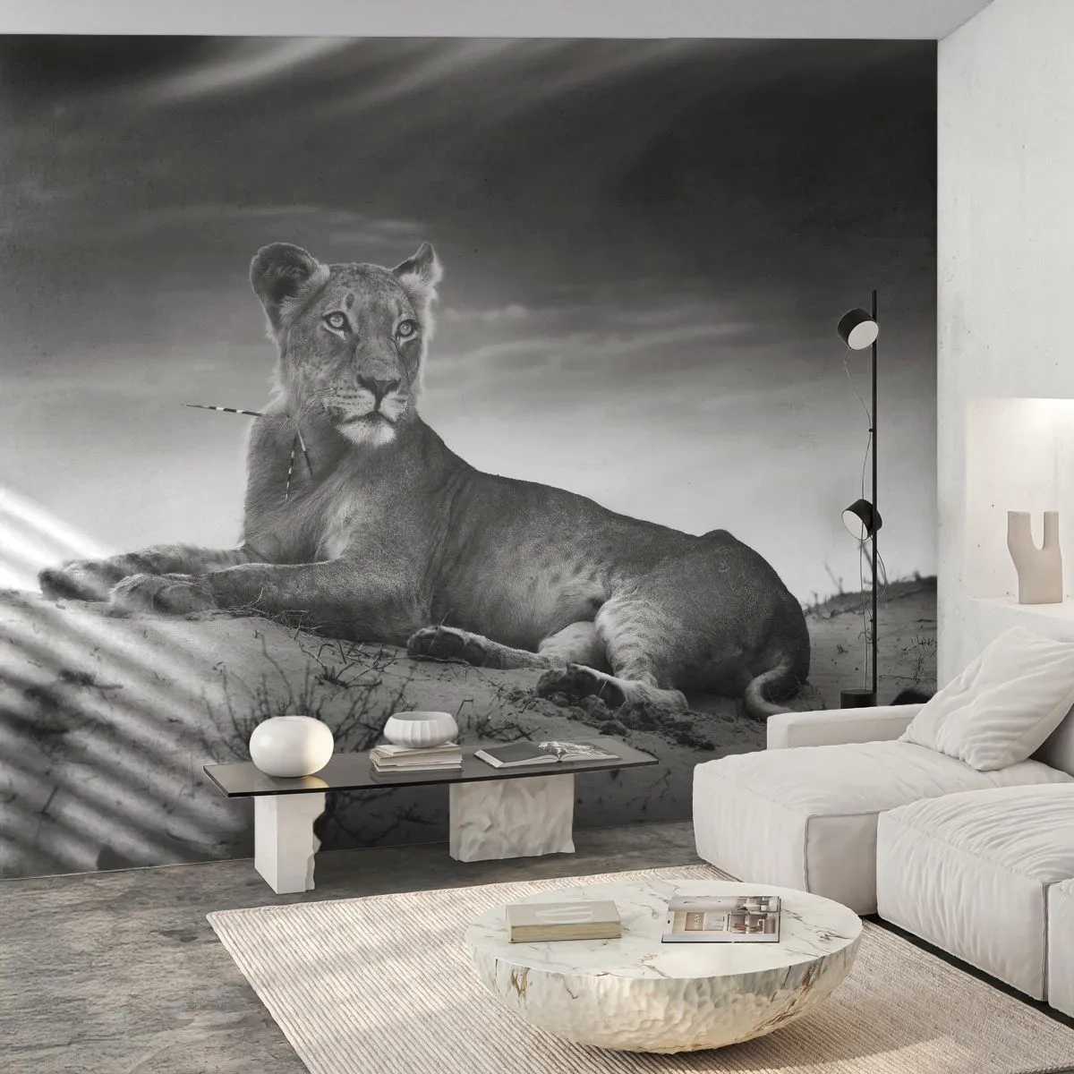 Fototapeta na míru Premium Sand - Odpočinek královny pouště - Zvířata, Lev, Poušť