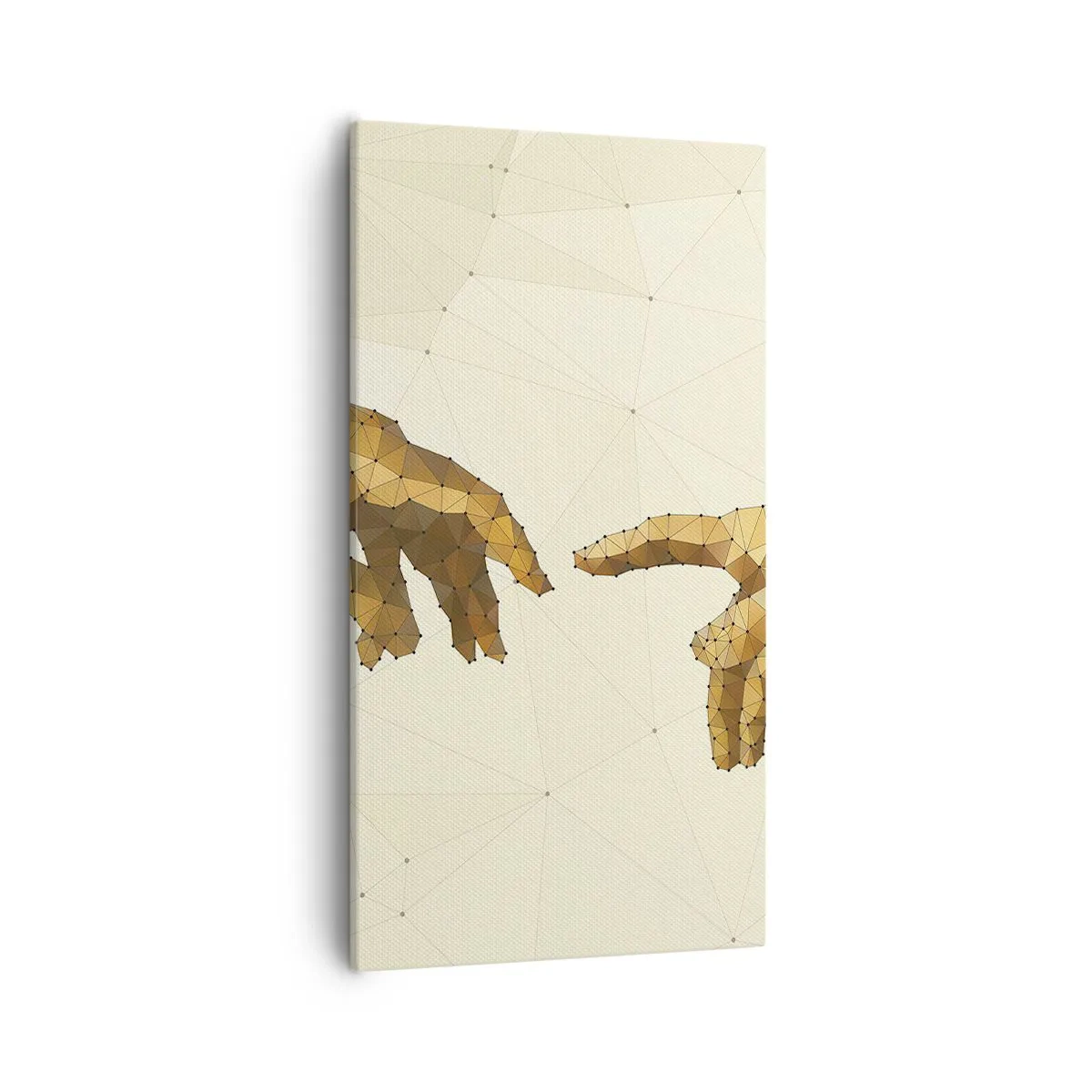 Obraz na plátně - Božská geometrie - 55x100 cm