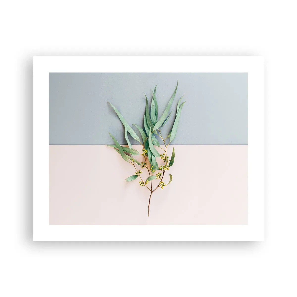 Plakát - Pastelová jemnost - 50x40 cm