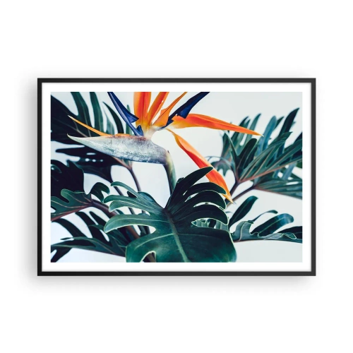 Plakát v černém rámu - Ptákeř - 100x70 cm