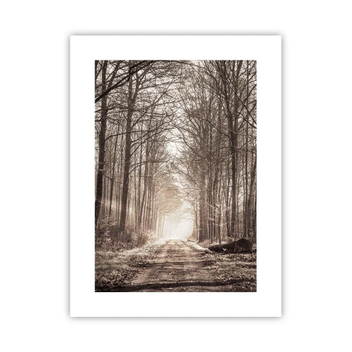 Plakát - Lesní katedrála - 30x40 cm