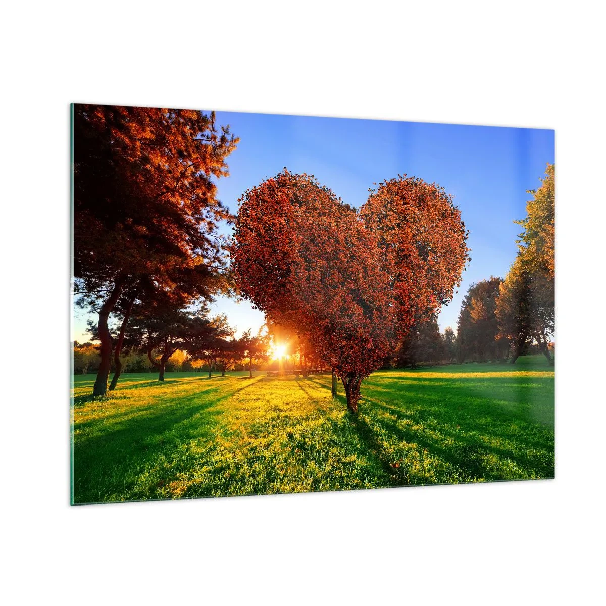 Obraz na skle - Jak nemilovat podzim - 100x70 cm