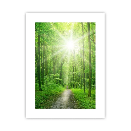 Plakát - Zelená katedrála - 30x40 cm