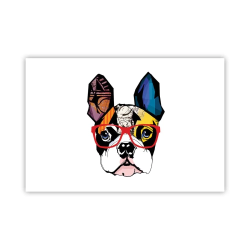 Plakát - Intelektuál - 91x61 cm