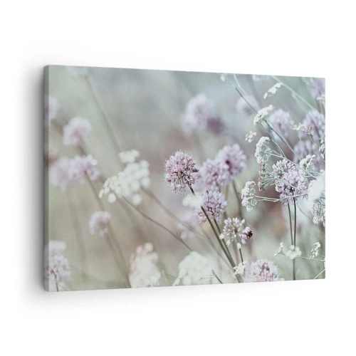 Obraz na plátně - Jemné květiny v pastelových odstínech - 70x50cm - Sladké filigrány bylinek - Moderní nástěnná dekorace do obývacího pokoje a ložnice ARTTOR