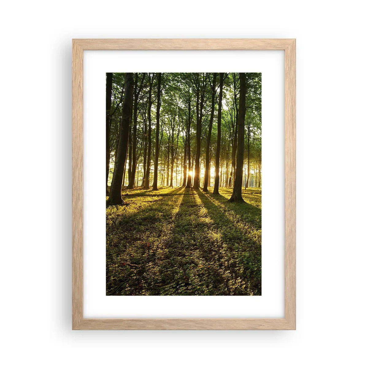 Plakát v rámu světlý dub - Fotografie všech jar - 30x40 cm