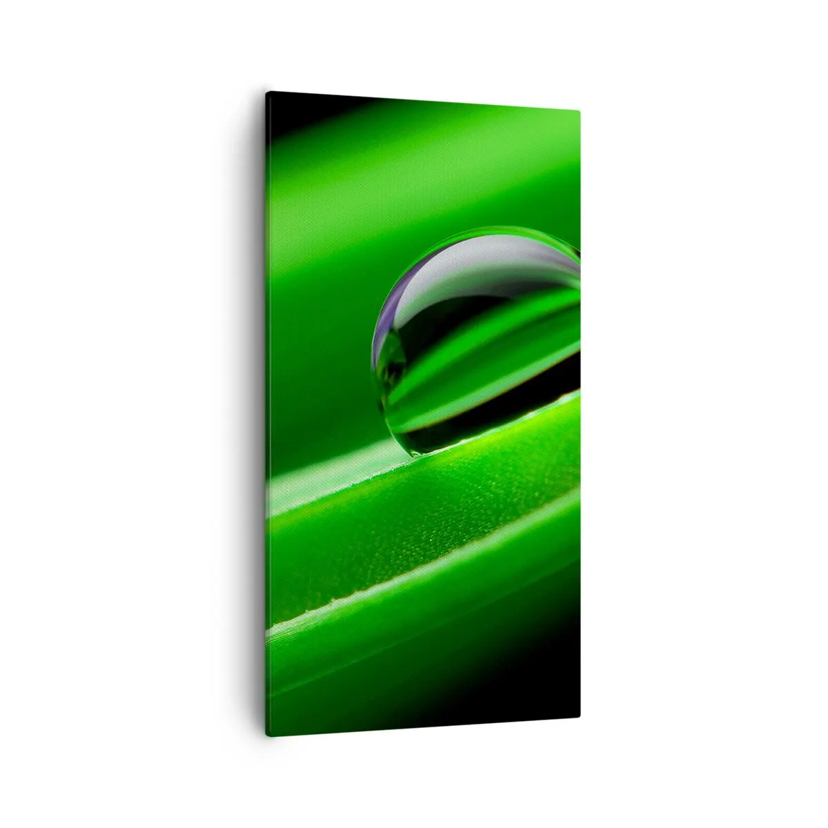 Obraz na plátně - Život z blízka - 55x100 cm