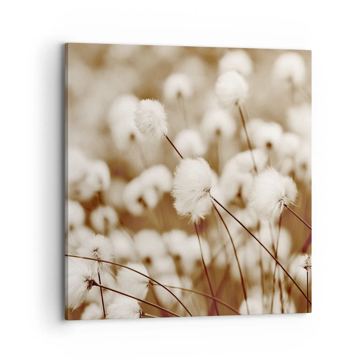 Obraz na plátně - Chlupatý lán - 70x70 cm