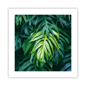 Plakát - Ponořit se do svěžesti - 40x40 cm