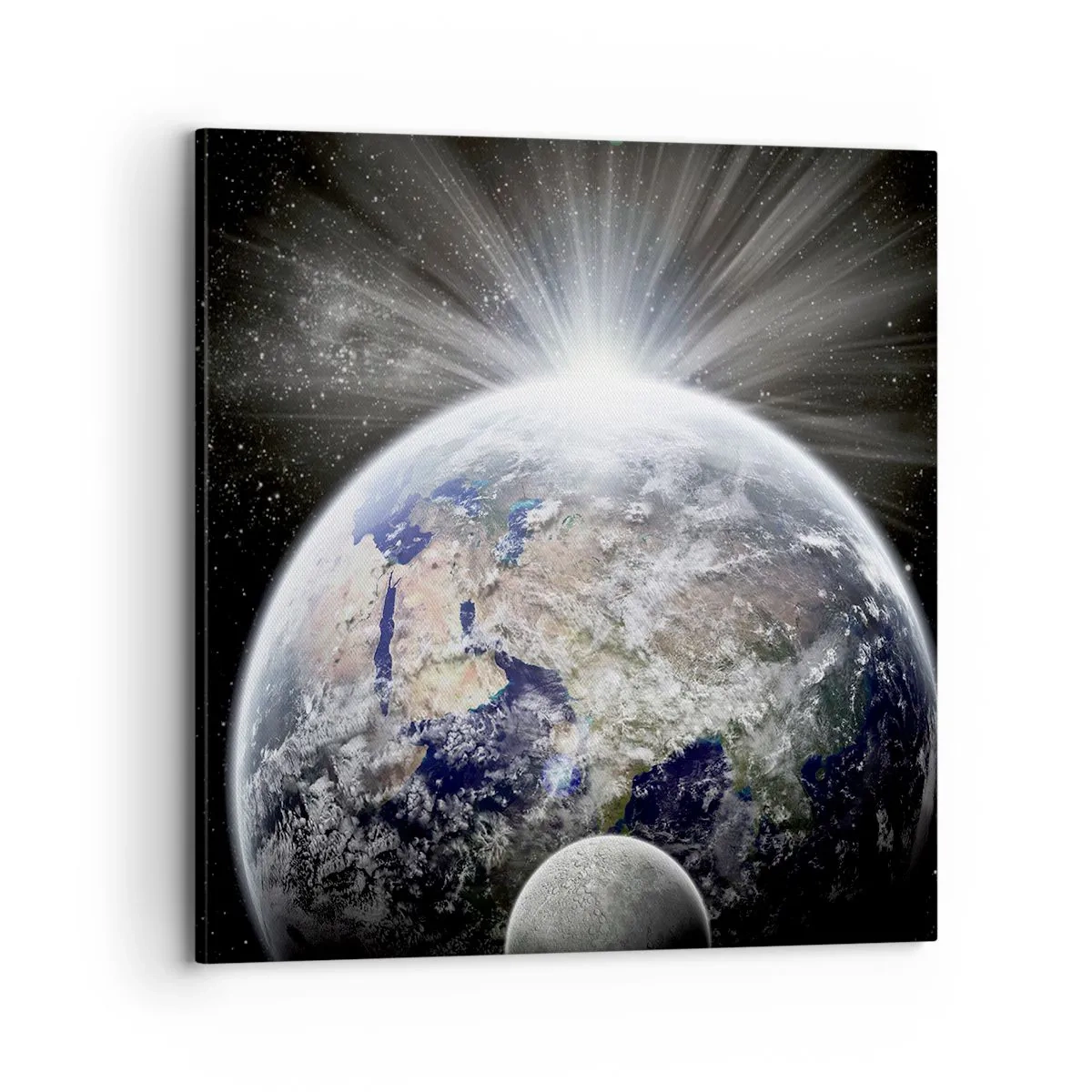 Obraz na plátně - V plném lesku - 70x70 cm